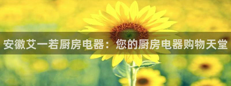 摩登7平台招商