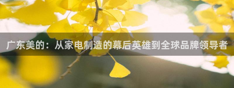 摩登5月7O667