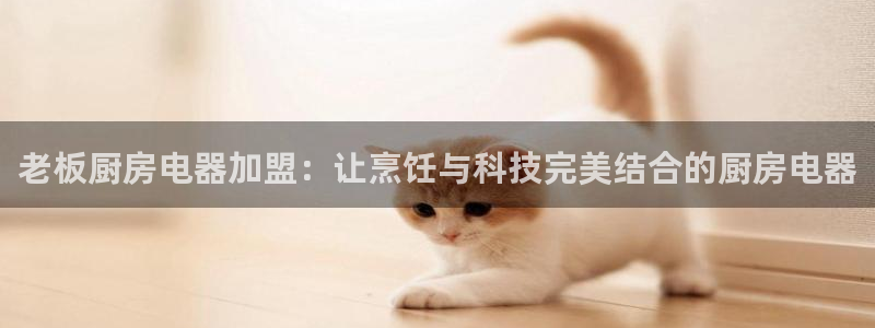 摩登7高管