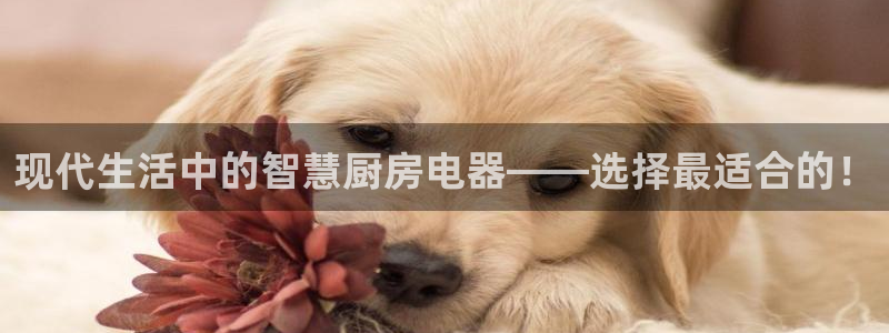 摩登7平台诈骗